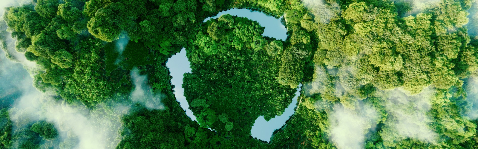 Driving Sustainability: A Digital-First Approach for Enterprises