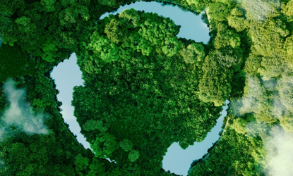 Driving Sustainability: A Digital-First Approach for Enterprises